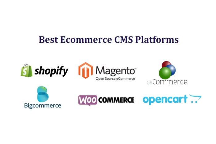 10 Best Ecommerce CMS Platforms - Bapu Graphics