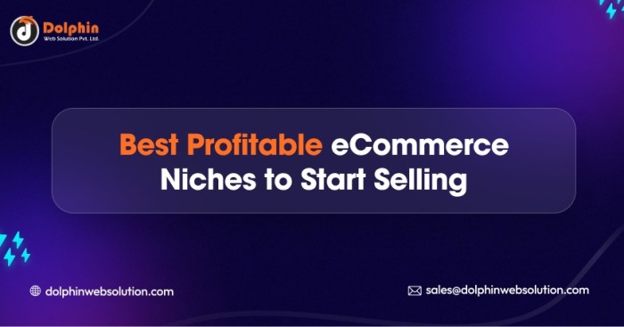 Best Profitable ECommerce Niches To Start Selling