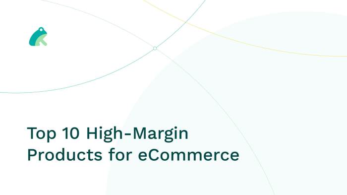 Top 10 High-Margin Products for eCommerce - InsightLeap - Amazon ...
